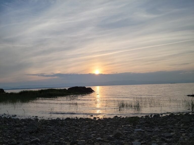 LOIE BLANCHE SUR MER 768x576