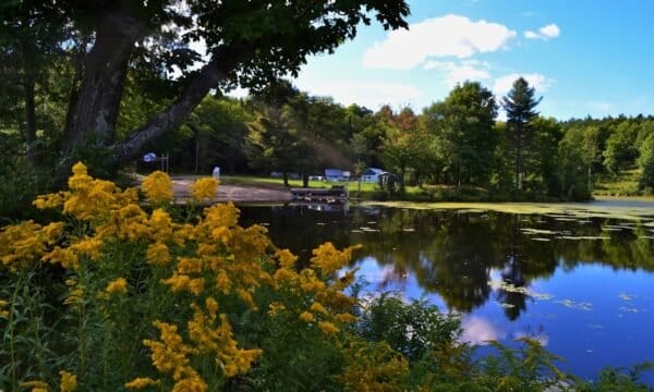 Camp Olier - Destination Laurentides
