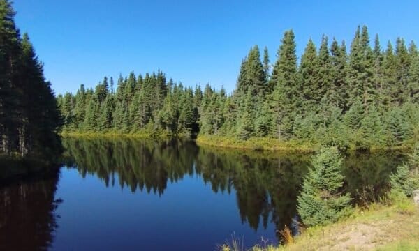 Camping Saint-Félicien - Lac-Saint-Jean